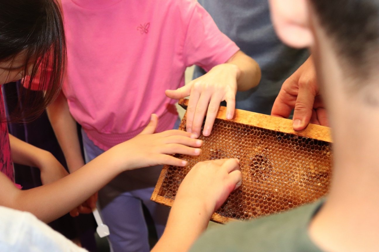 Torna Mielerie Aperte: visite, degustazioni e attività didattiche al Pungiglione